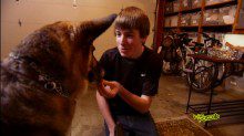 Boy feeding biscuits to his dog