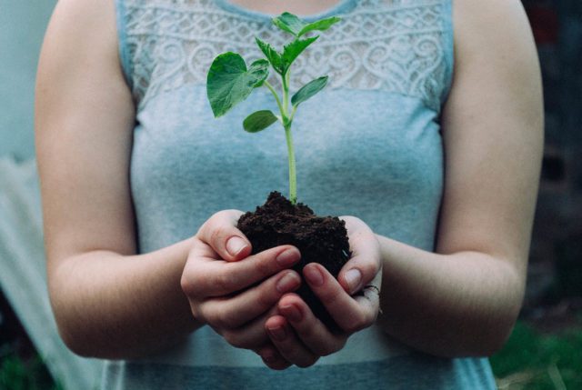 A woman is holding a small plant in her hands.